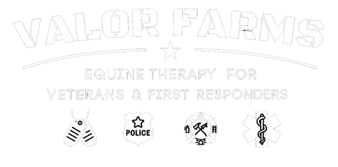 Valor Farms — Equine Therapy for Veterans & First Responders